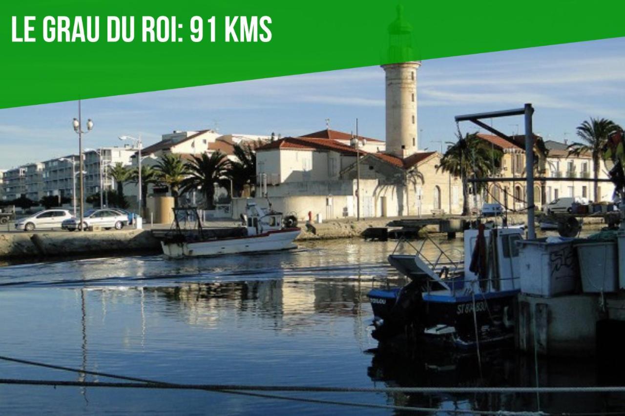 Au Roi Rene - Ac Clim - Wifi Daire Avinyon Dış mekan fotoğraf
